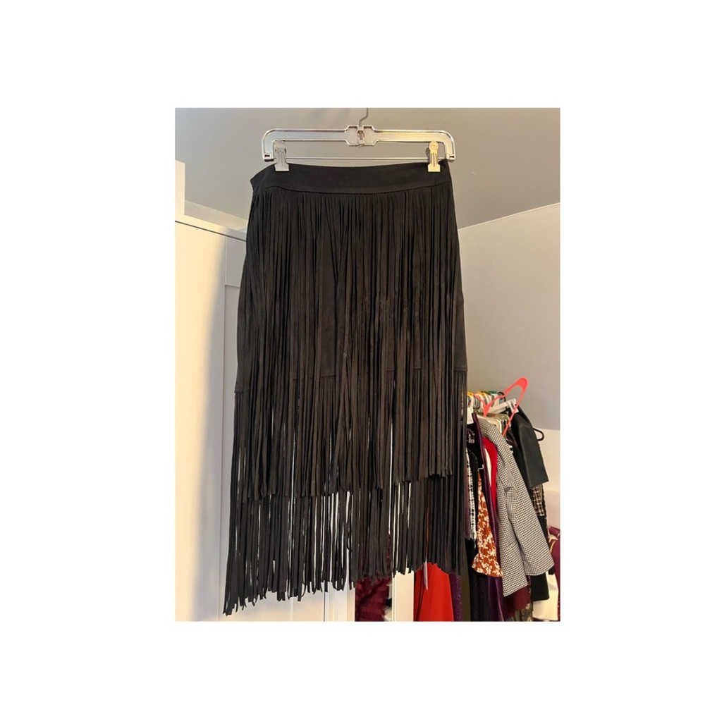 Zara fringe skirt